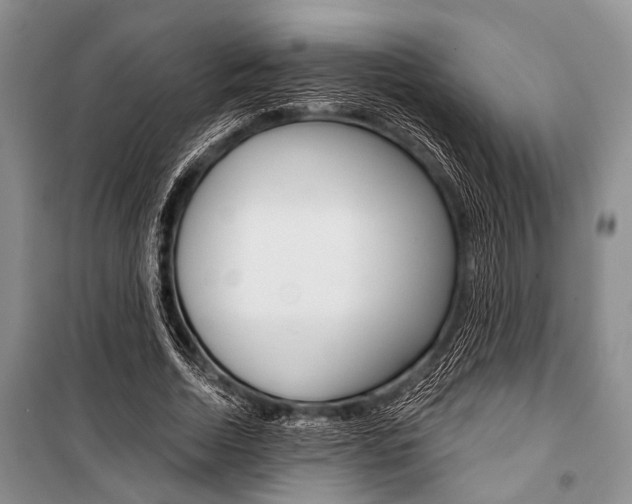 X0000101110730200806261108