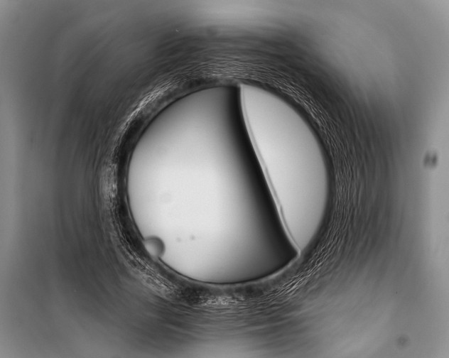 X0000101110731200806261108