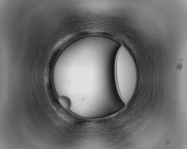 X0000101110732200806261108