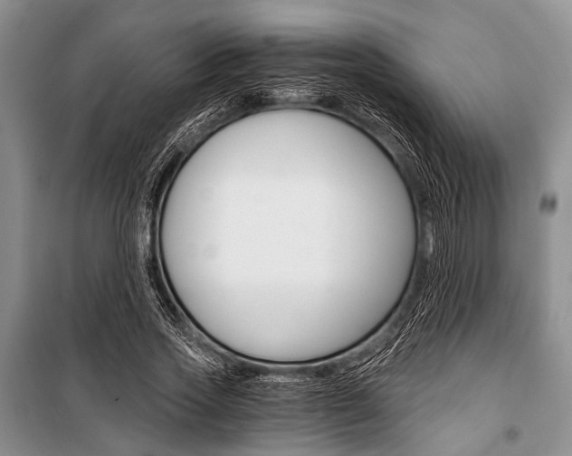 X0000101110733200806261108