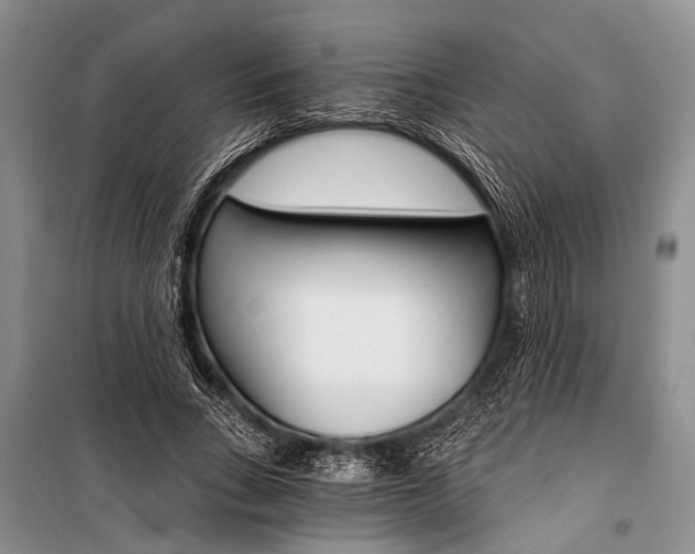 X0000101110735200806261108