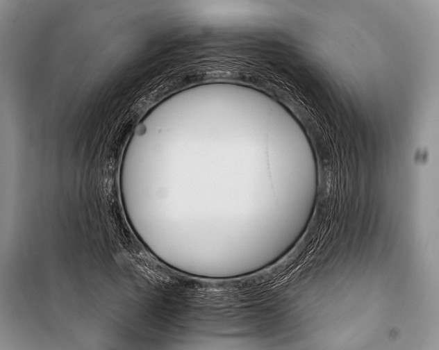 X0000101110737200806261108