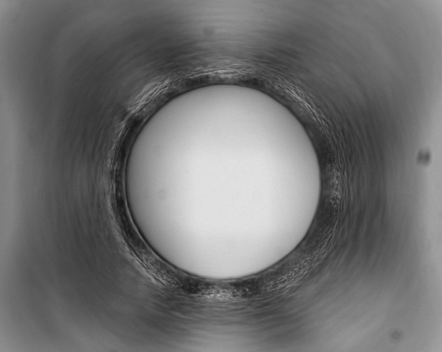 X0000101110738200806261108