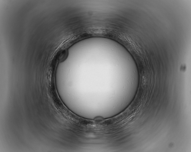 X0000101110739200806261108