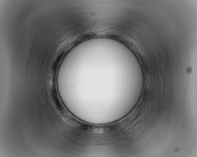X0000101110740200806261108