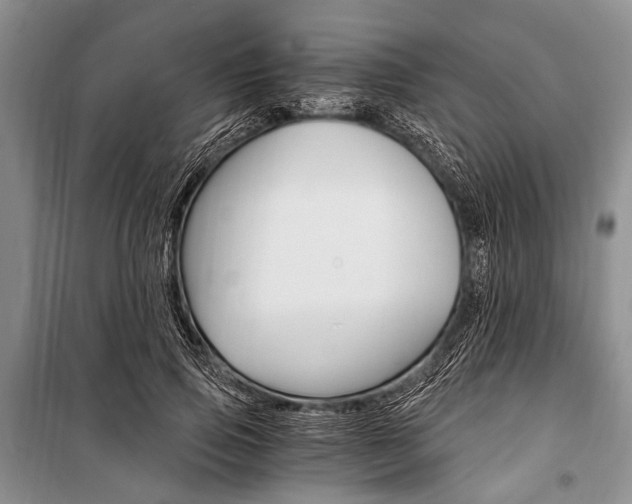 X0000101110741200806261108