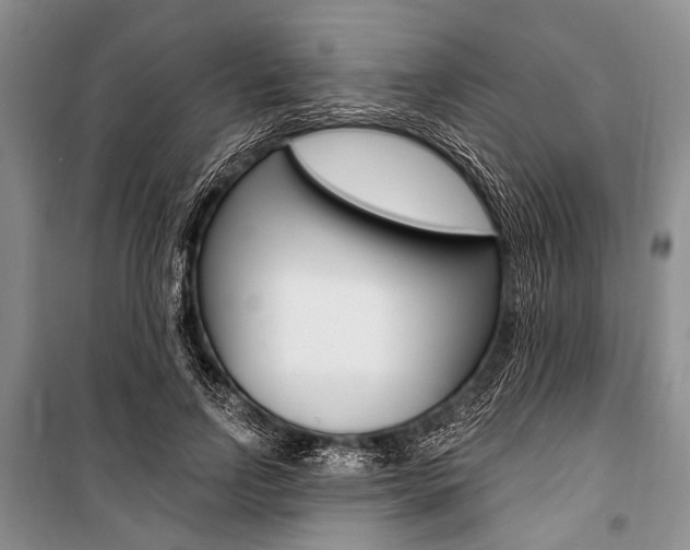 X0000101110742200806261108