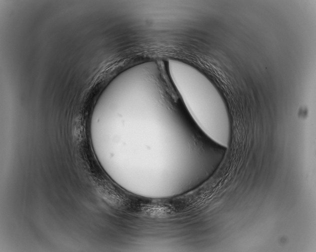 X0000101110743200806261108