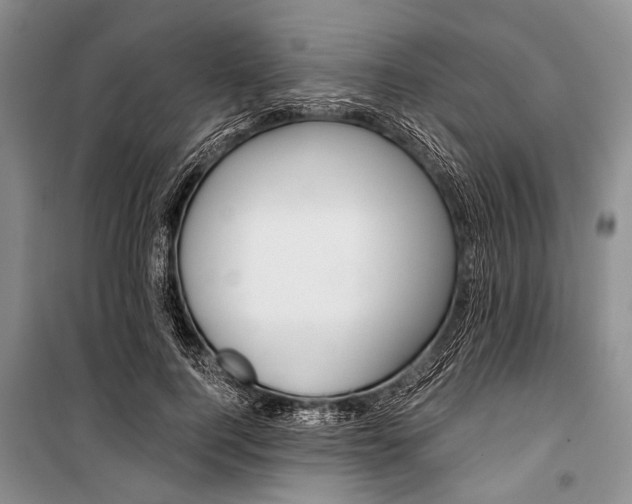 X0000101110744200806261108