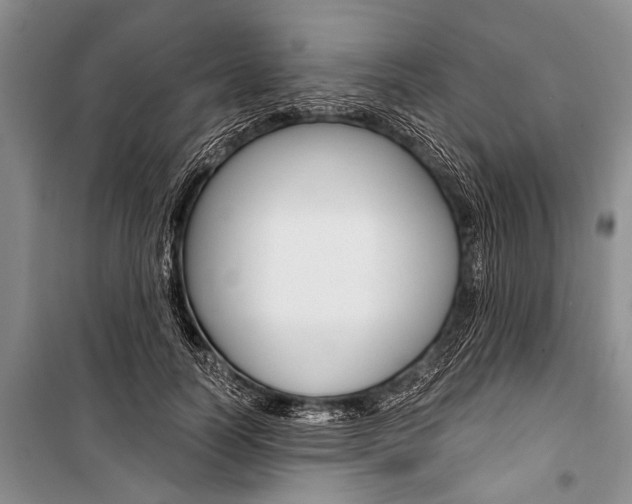 X0000101110746200806261108