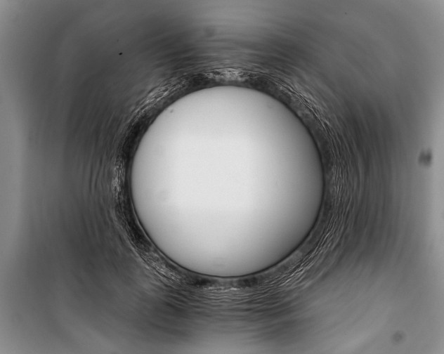 X0000101110747200806261108