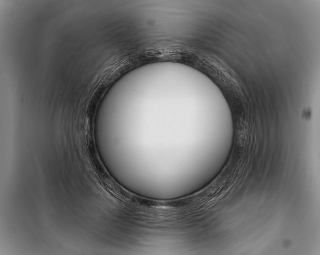 X0000101110748200806261108