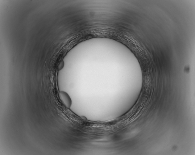 X0000101110749200806261108