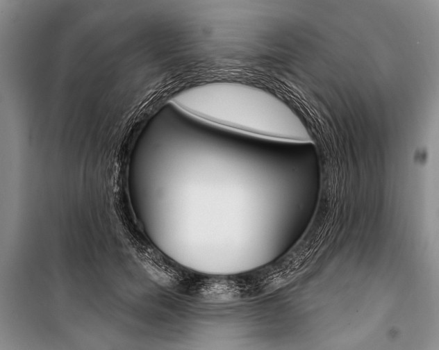 X0000101110750200806261108