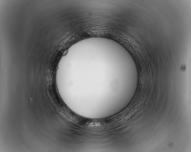 X0000101110751200806261108