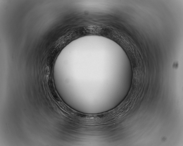 X0000101110752200806261108
