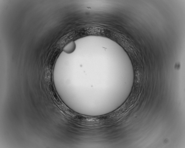 X0000101110753200806261108