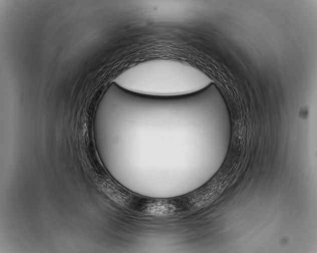 X0000101110754200806261108