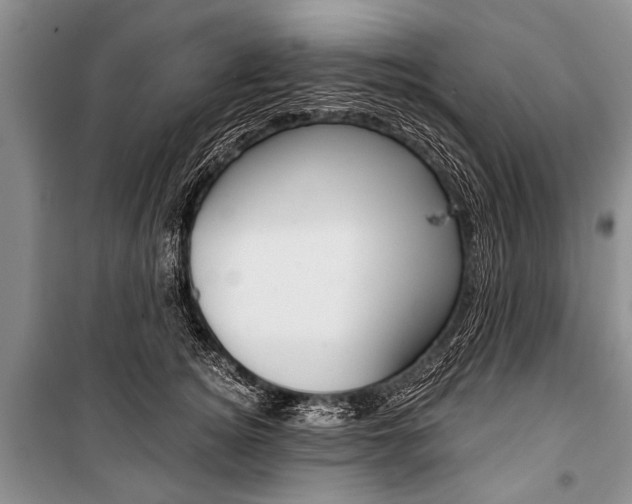 X0000101110756200806261108