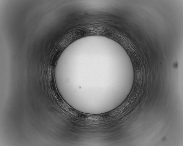 X0000101110757200806261108