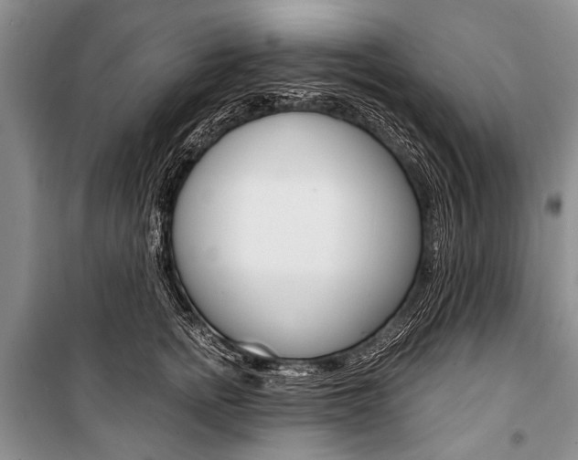 X0000101110758200806261108