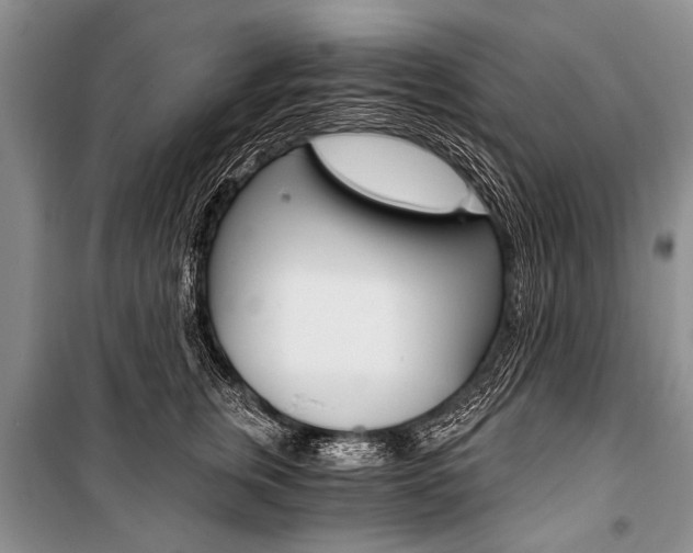 X0000101110759200806261108