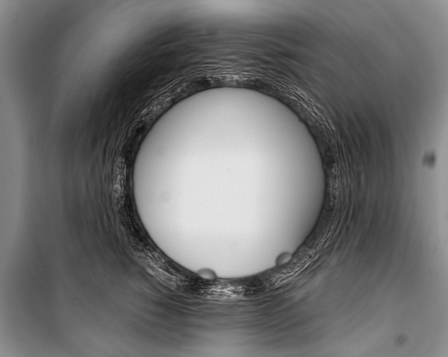 X0000101110760200806261108