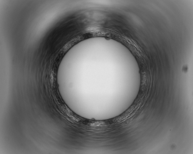X0000101110761200806261108