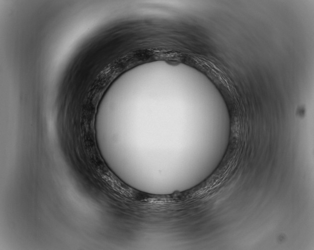 X0000101110763200806261108