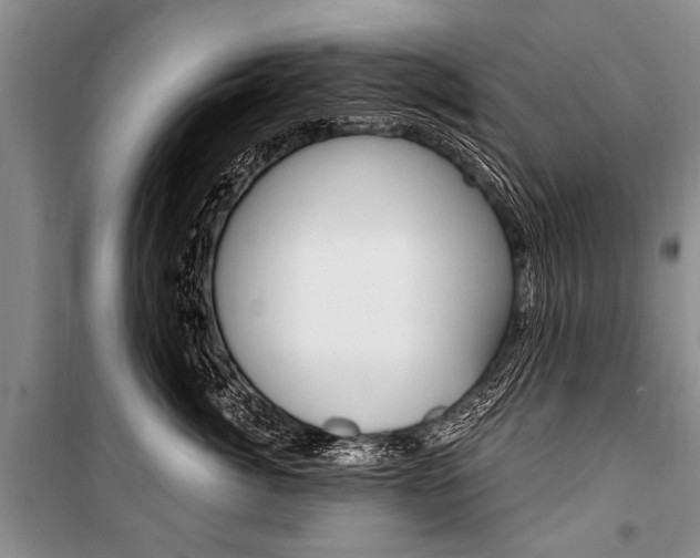 X0000101110764200806261108
