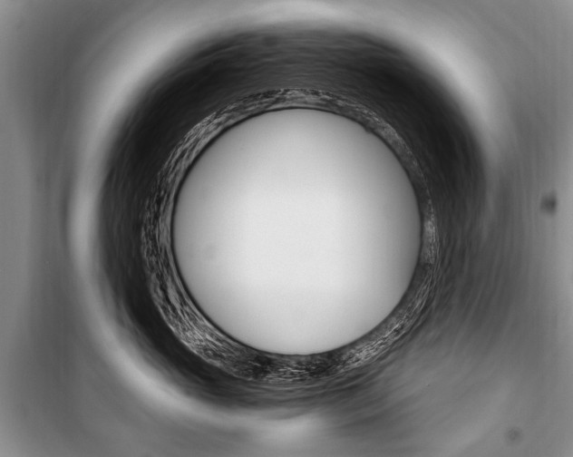 X0000101110765200806261109