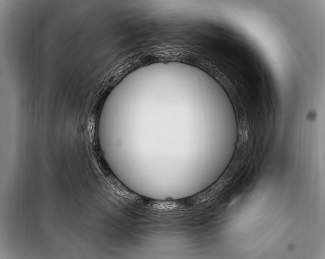 X0000101110767200806261109