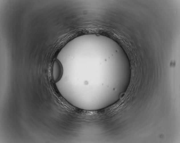 X0000101110768200806261109