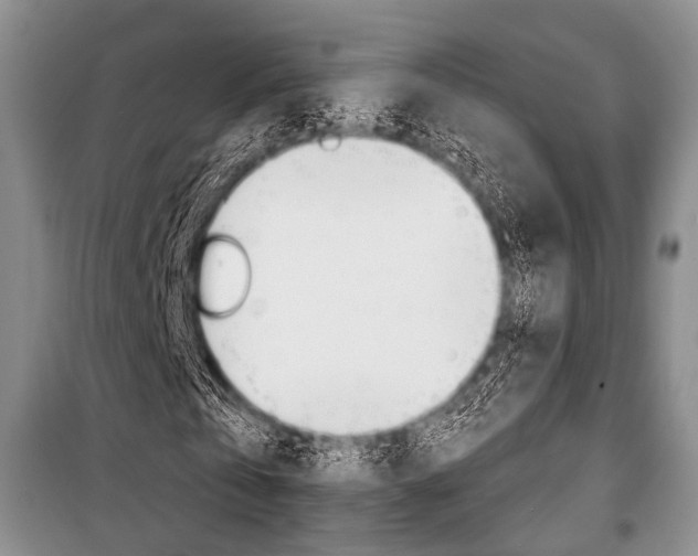 X0000101110769200806261108