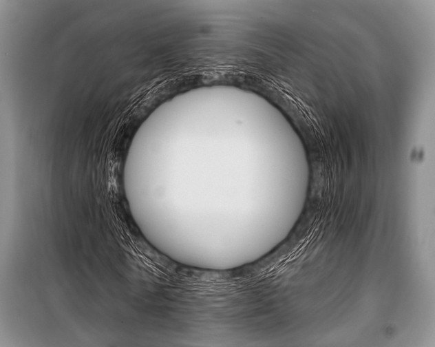 X0000101110770200806261108
