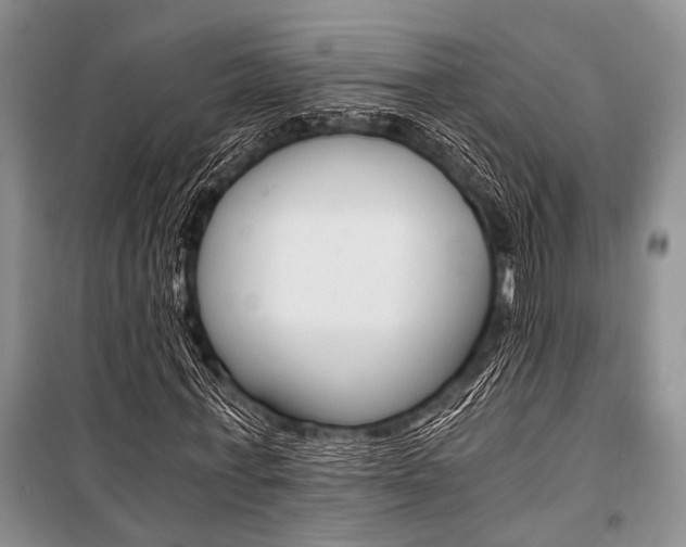 X0000101110771200806261108