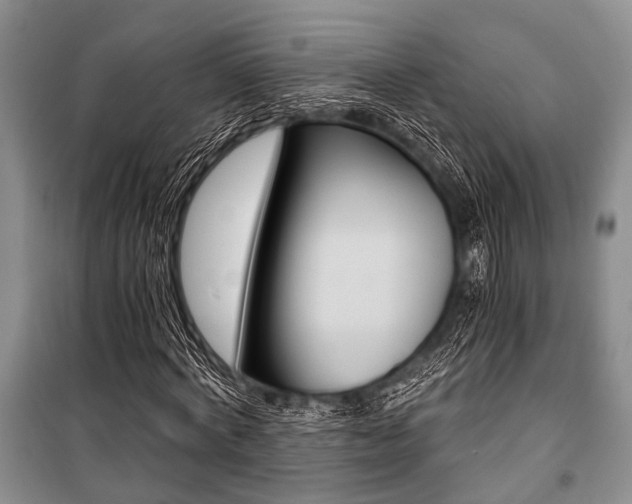 X0000101110772200806261108
