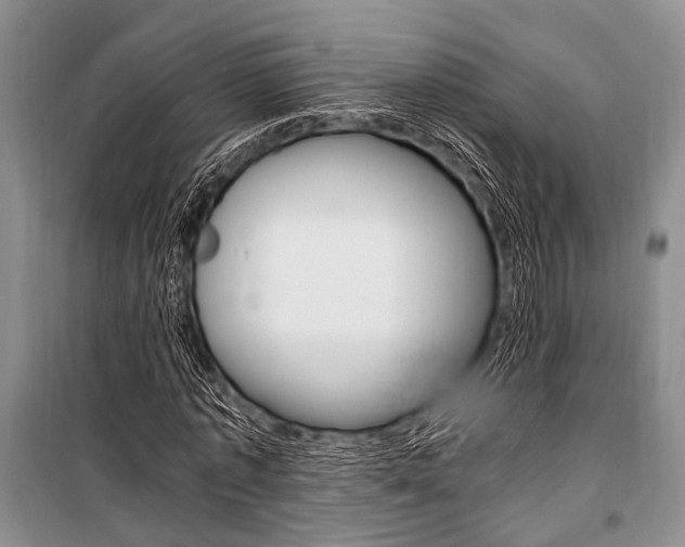 X0000101110773200806261108