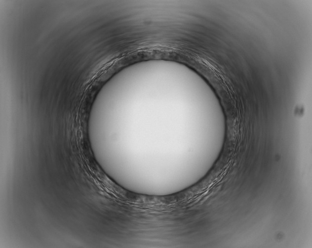 X0000101110774200806261108