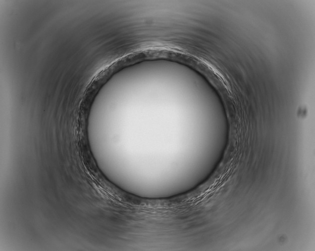 X0000101110775200806261108