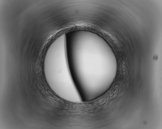 X0000101110776200806261108