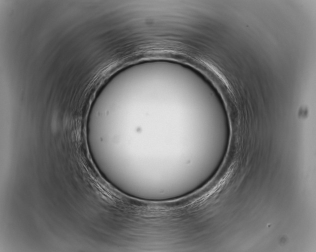 X0000101110777200806261108
