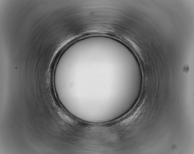 X0000101110779200806261108