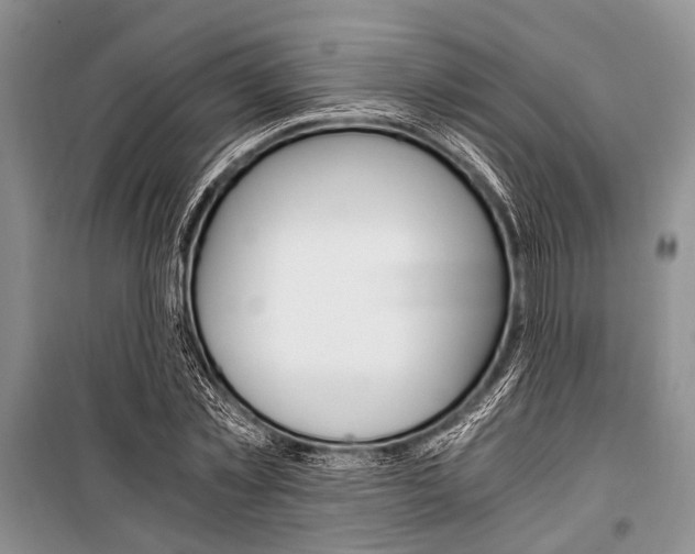 X0000101110781200806261108