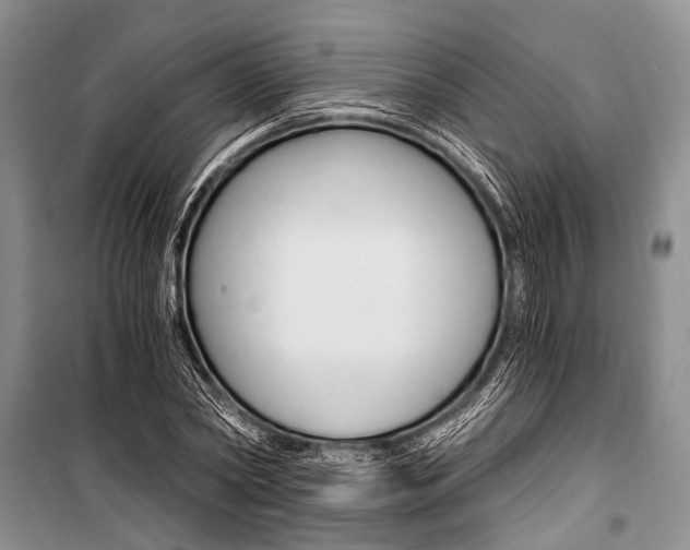 X0000101110782200806261108