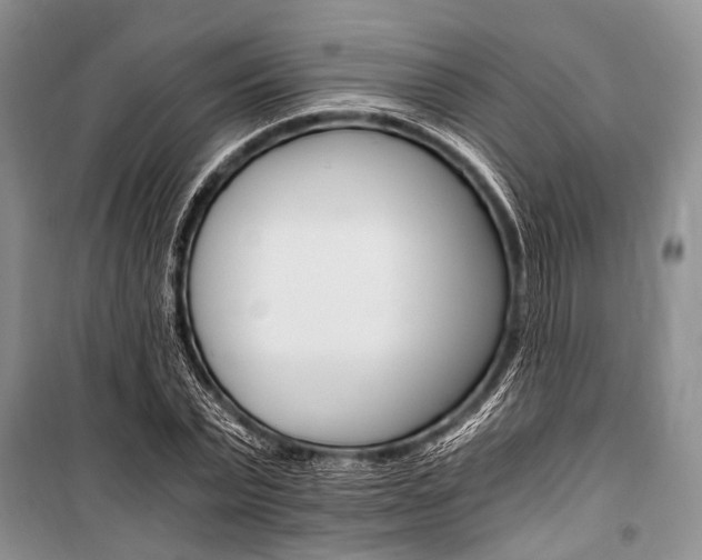 X0000101110783200806261108