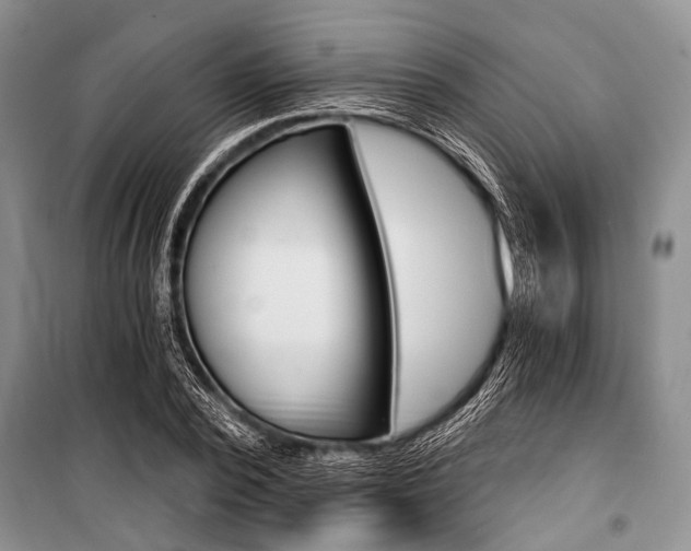 X0000101110784200806261108