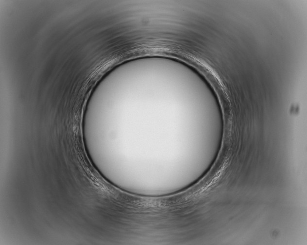 X0000101110785200806261108