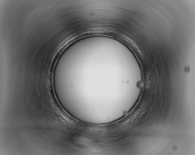 X0000101110786200806261108