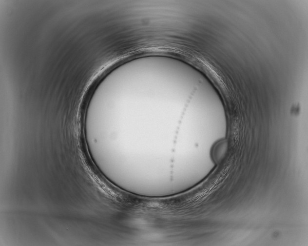 X0000101110787200806261108